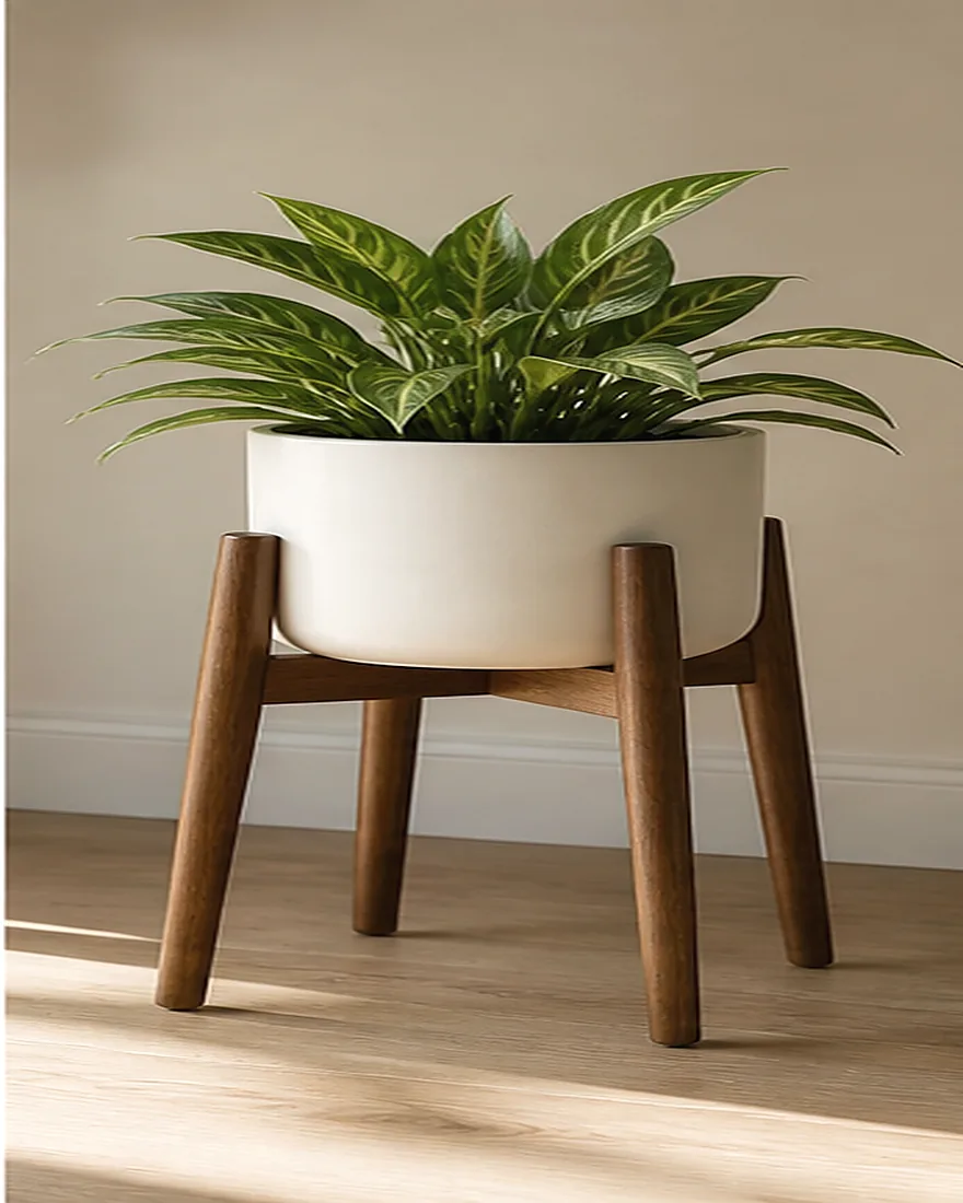 Aster Planter Stand 034